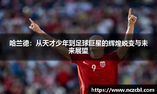 bsports官网