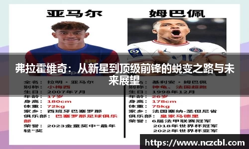 B体育bsports