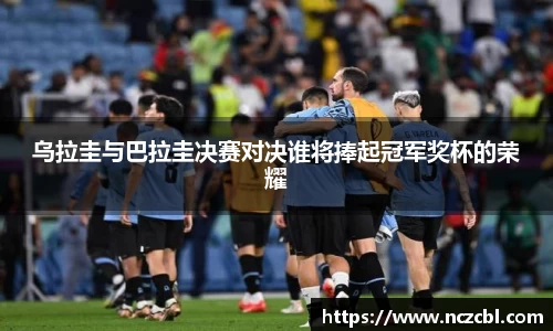 bsports官网入口