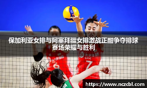 bsports官网入口